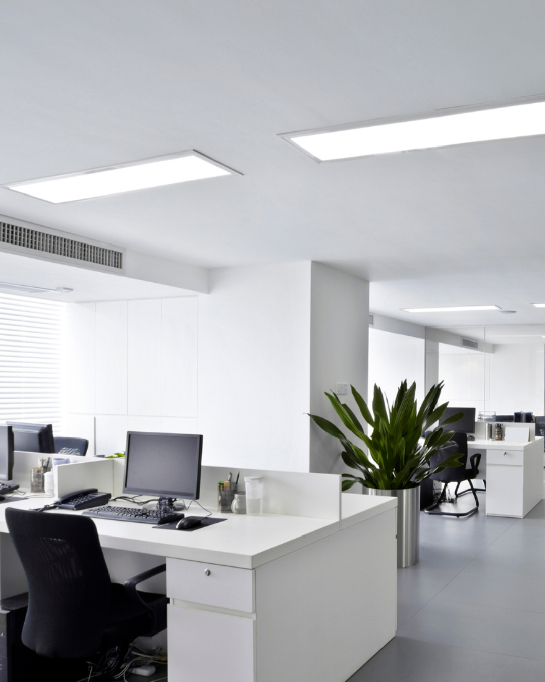 Seguros para Bienes y Patrimonio