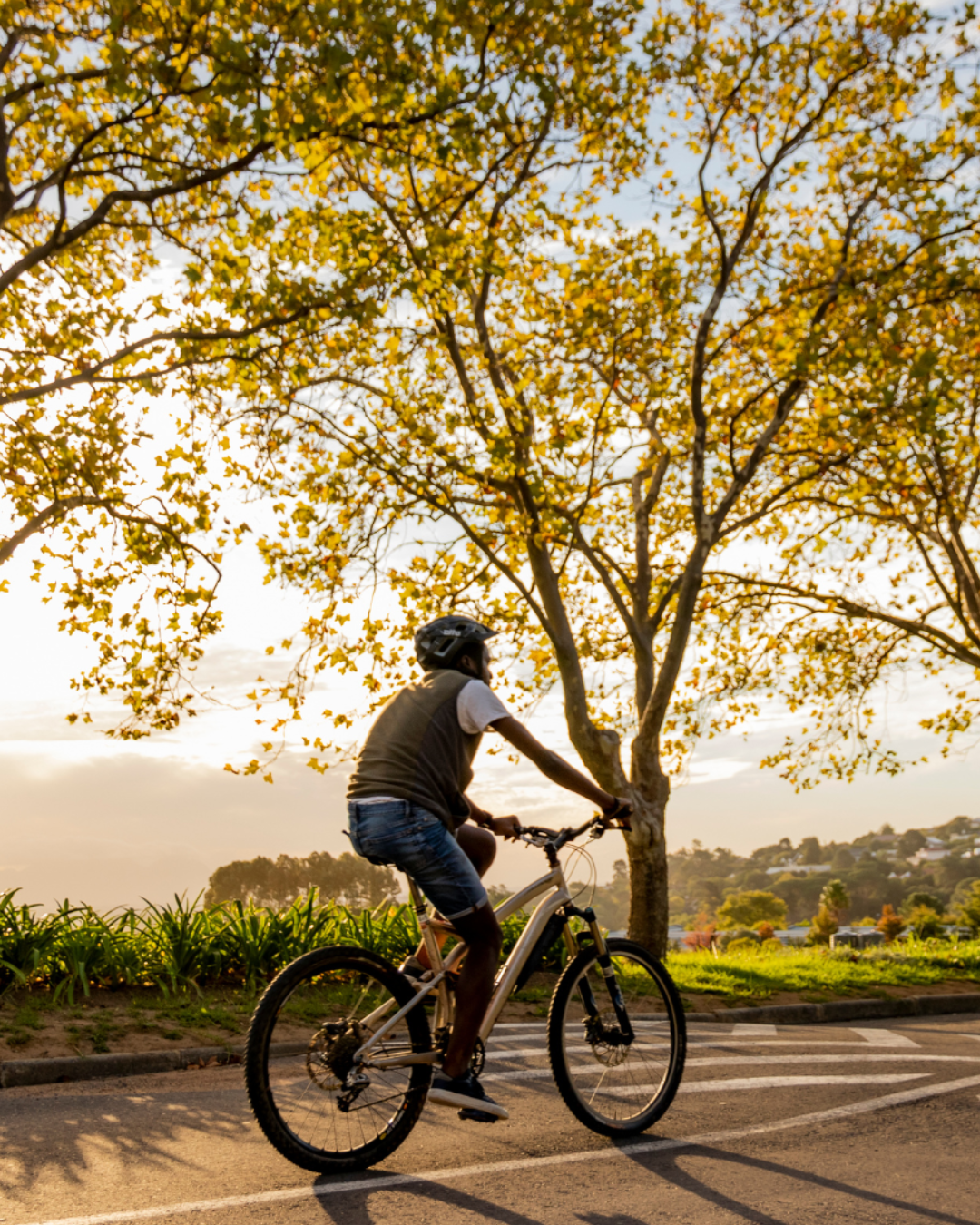 Seguro de Bicicletas
